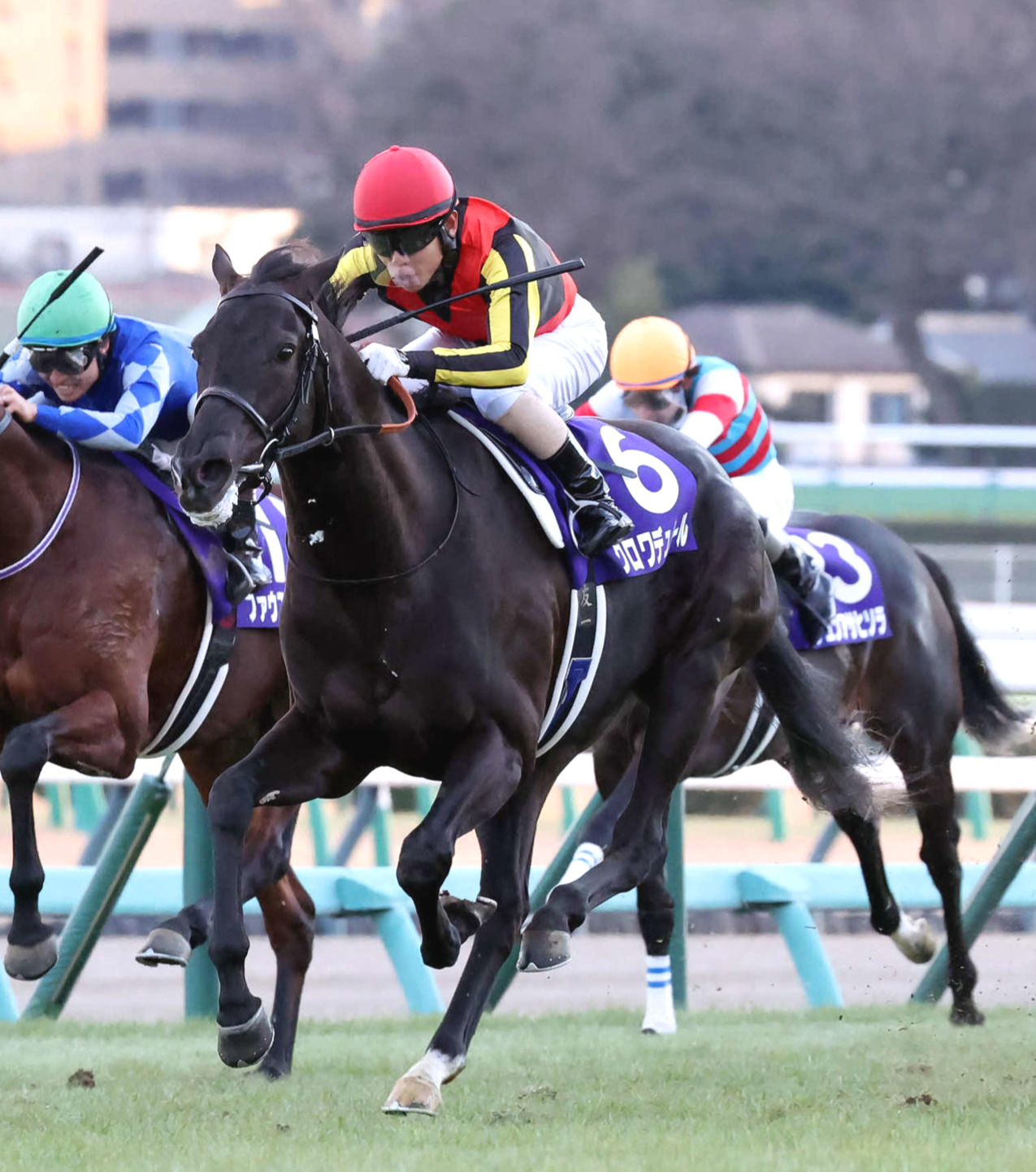ホープフルSを制したクロワデュノールと北村友騎手