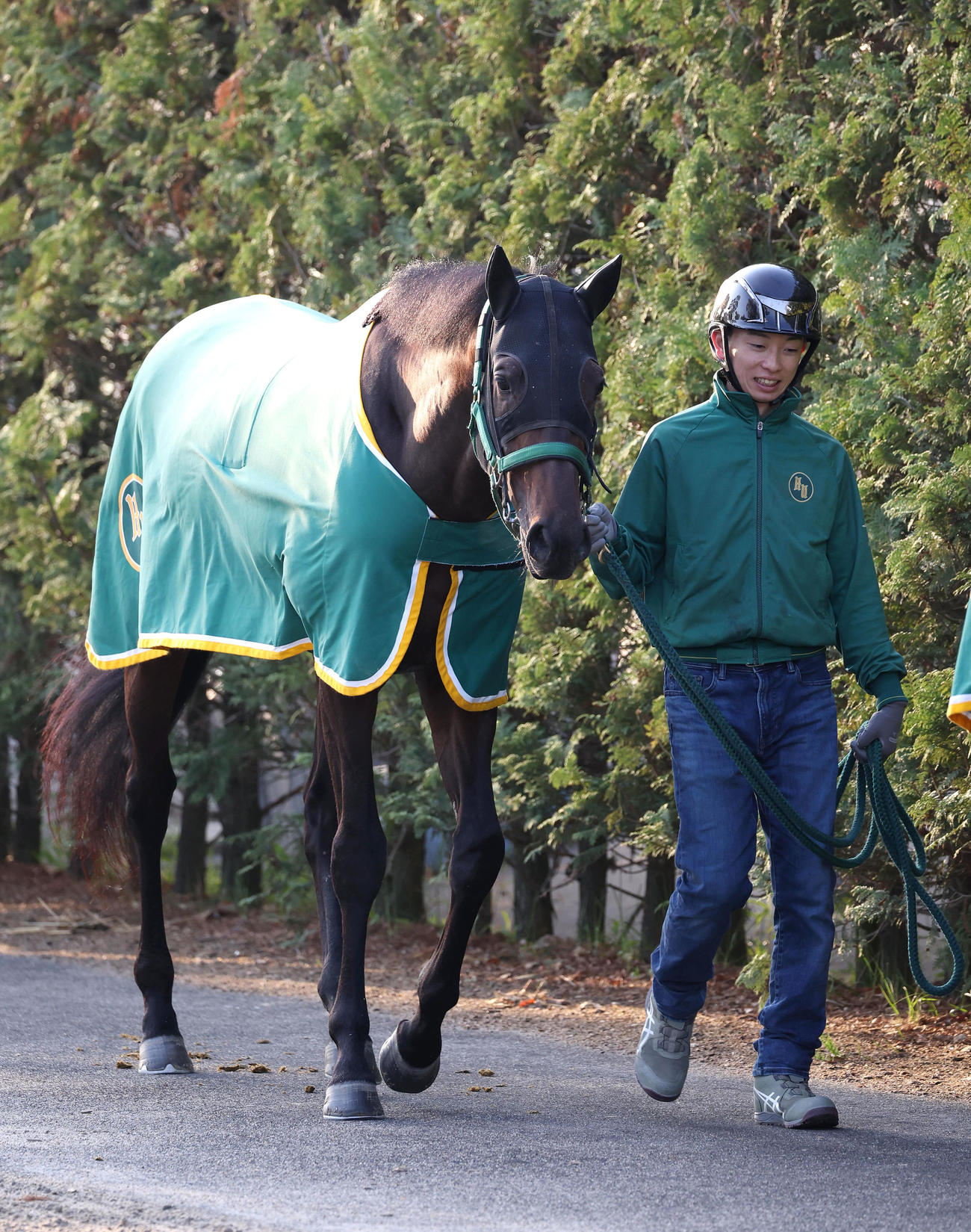 厩舎周りで運動するジーティーアダマン（撮影・白石智彦）
