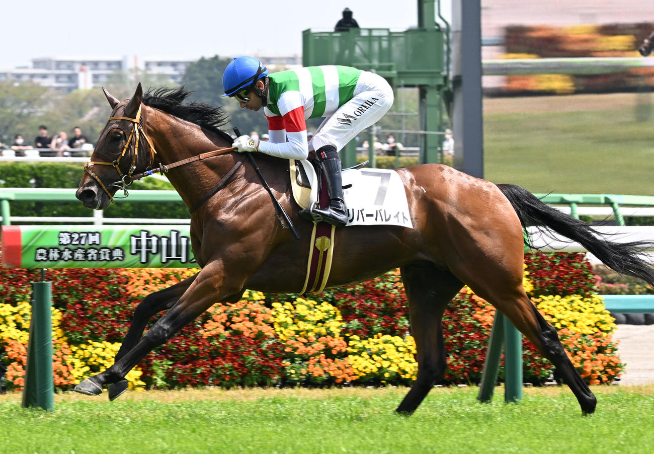 中山5R、3歳未勝利戦を制したリバーバレイトとモレイラ騎手（撮影・千葉一成）