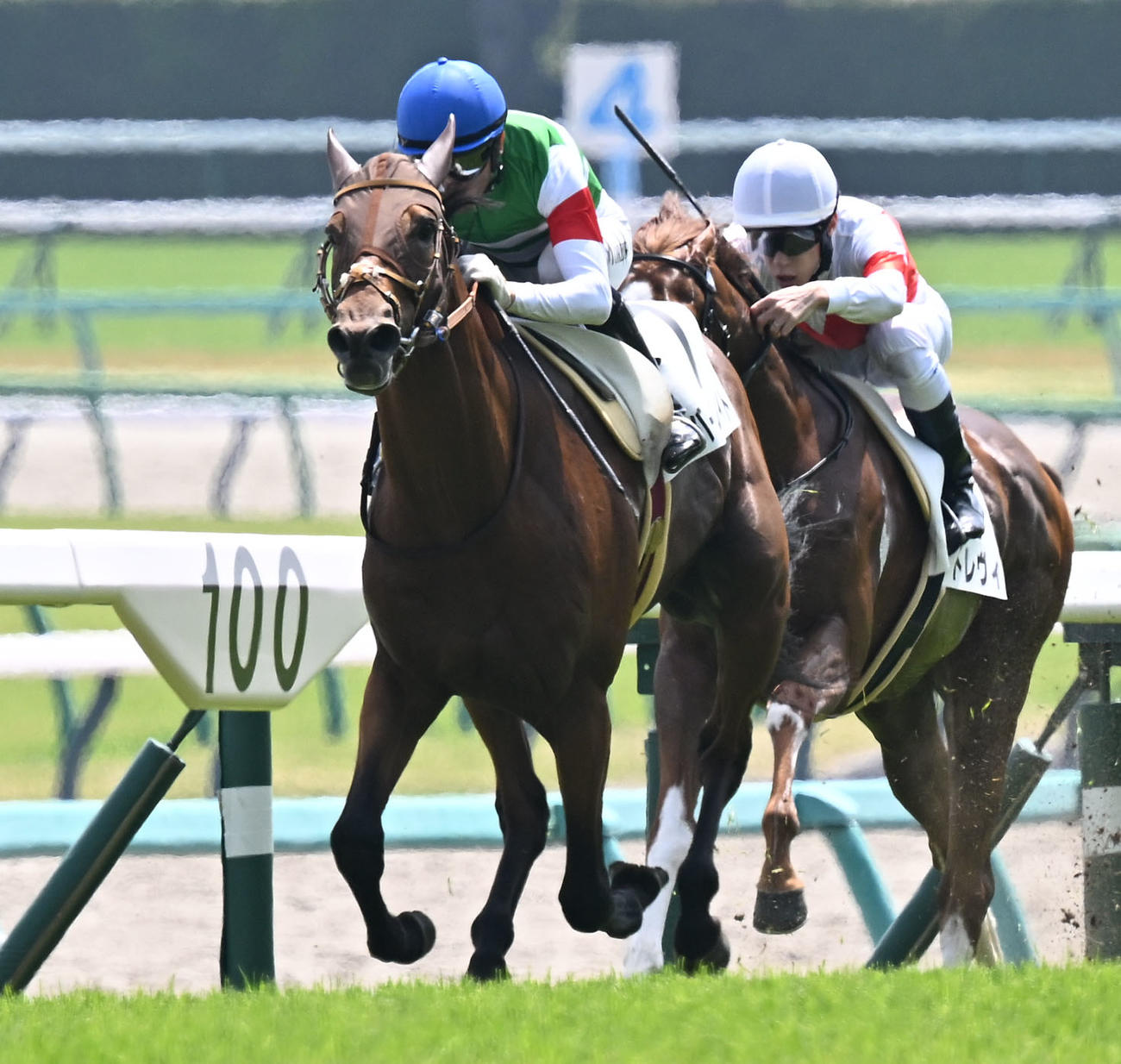 中山5R、3歳未勝利戦を制したリバーバレイトとモレイラ騎手（左）（撮影・千葉一成）