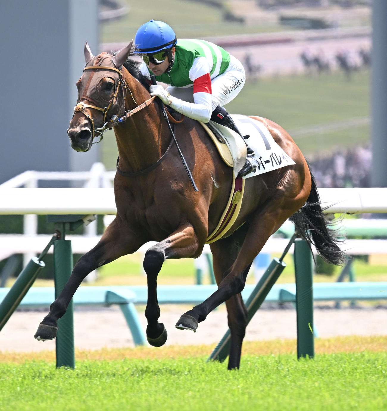 中山5R、3歳未勝利戦を制したリバーバレイトとモレイラ騎手（撮影・千葉一成）