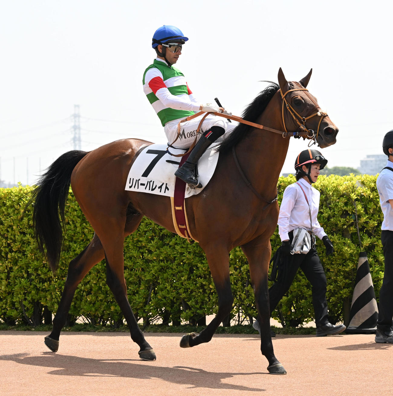 中山5R、3歳未勝利戦を制したリバーバレイトとモレイラ騎手（撮影・千葉一成）