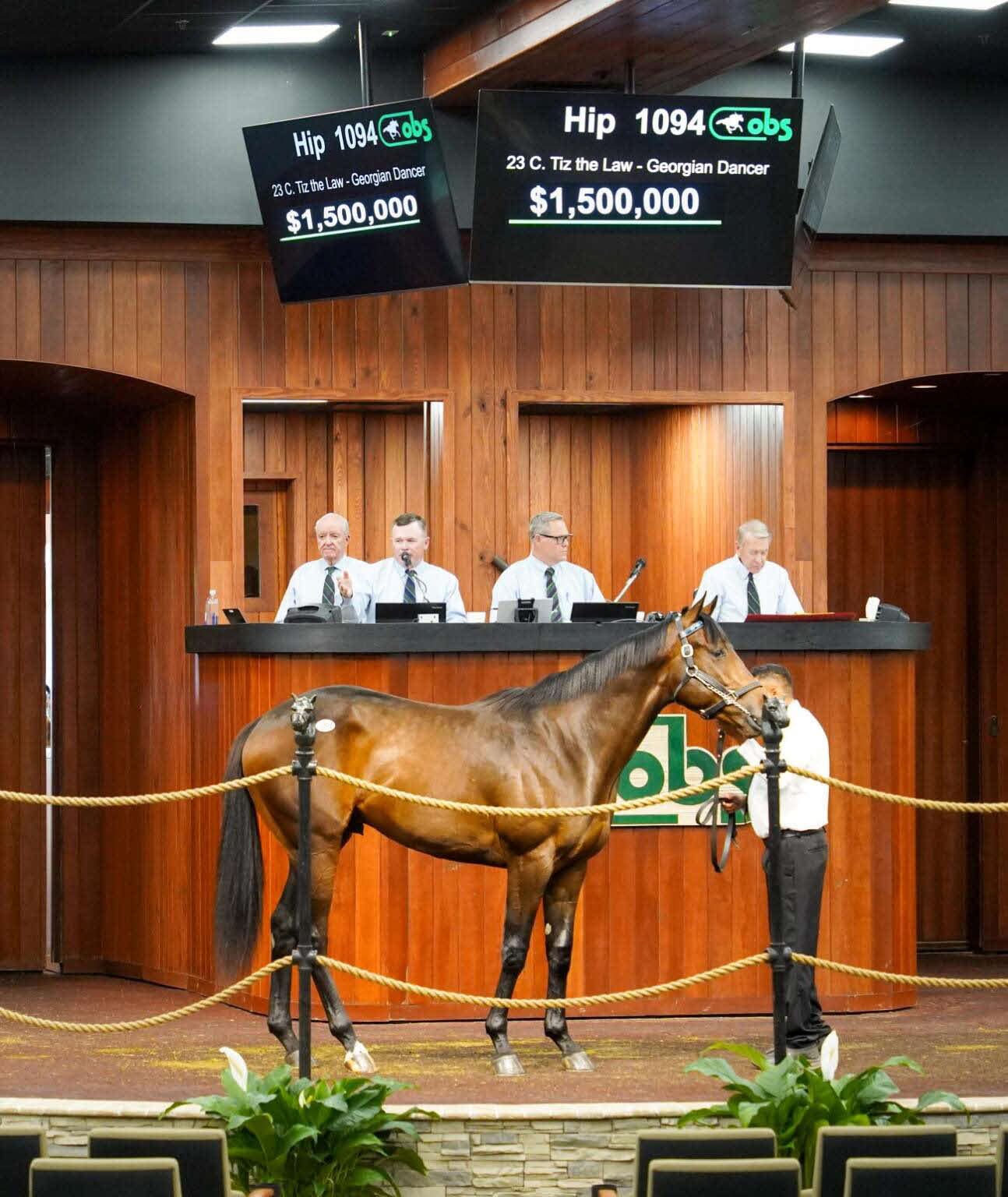 150万ドルで落札されたティズザロウ産駒（C）OBS／VidHorse　photo