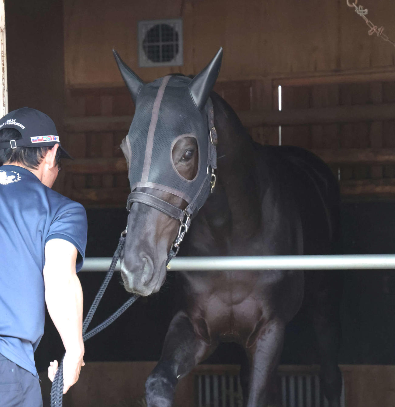 馬房に入ったクロワデュノール（撮影・丹羽敏通）