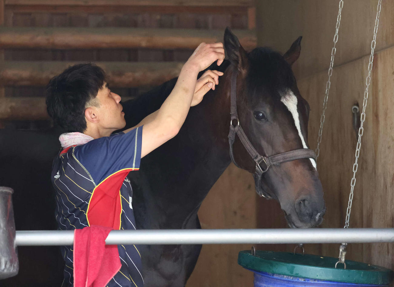 馬房に入ったエリキング（撮影・丹羽敏通）