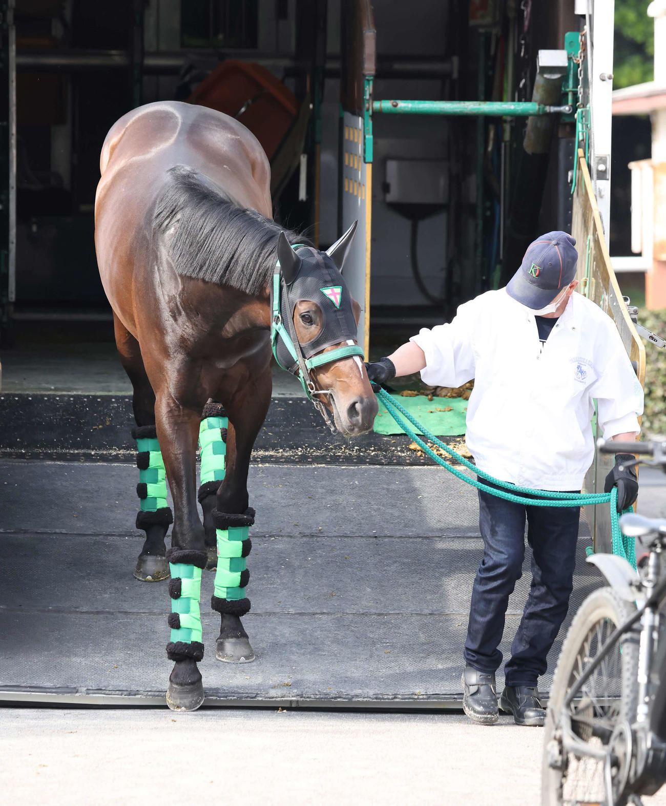 中山競馬場に到着したサトノシャイニング（撮影・丹羽敏通）