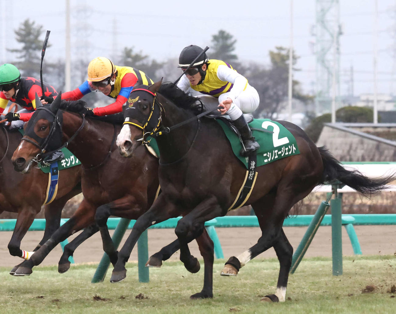 京成杯2着に敗れたドラゴンブースト（左）。右は勝ったニシノエージェント