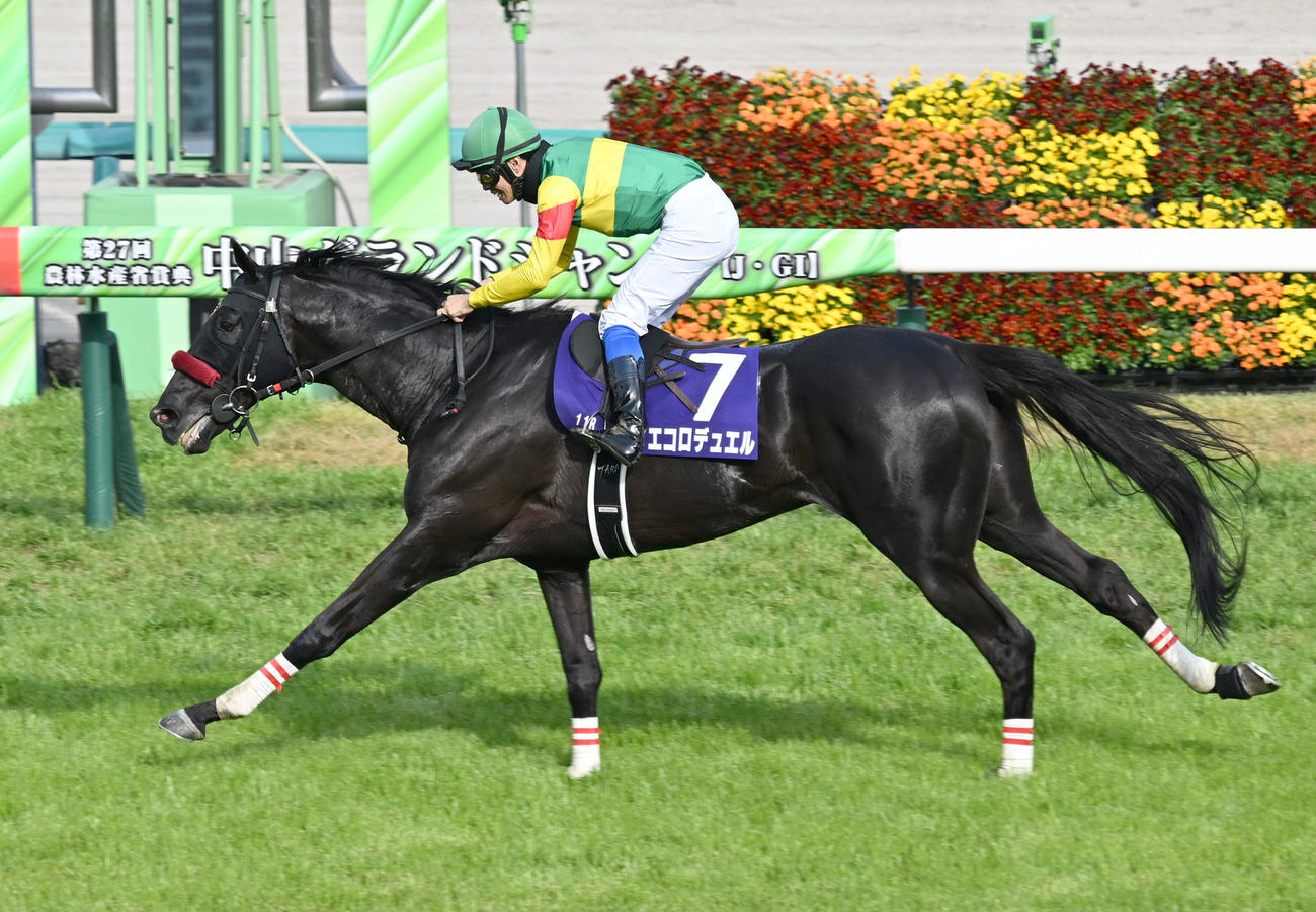 中山グランドJを制したエコロデュエルと草野騎手（撮影・千葉一成）