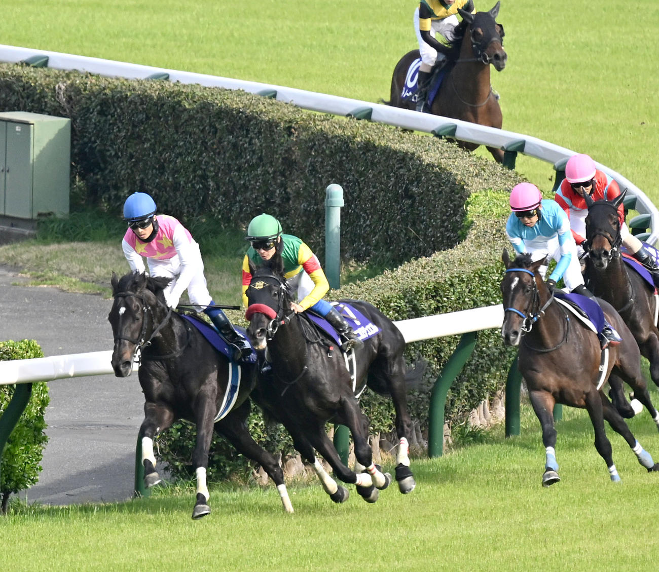 中山グランドJを制したエコロデュエルと草野騎手（左から2頭目）（撮影・千葉一成）