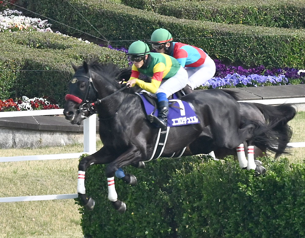 中山グランドJを制したエコロデュエルと草野騎手（手前）（撮影・千葉一成）