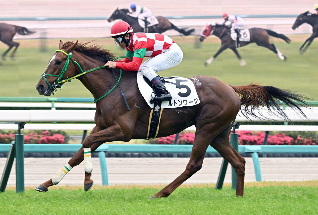 中山4R、3歳未勝利戦を制したルトンワージと戸崎騎手（撮影・千葉一成）