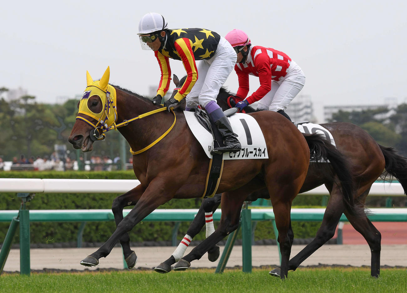 中山5R、3歳1勝クラスで8着になったヒデノブルースカイと武豊騎手（撮影・丹羽敏通）