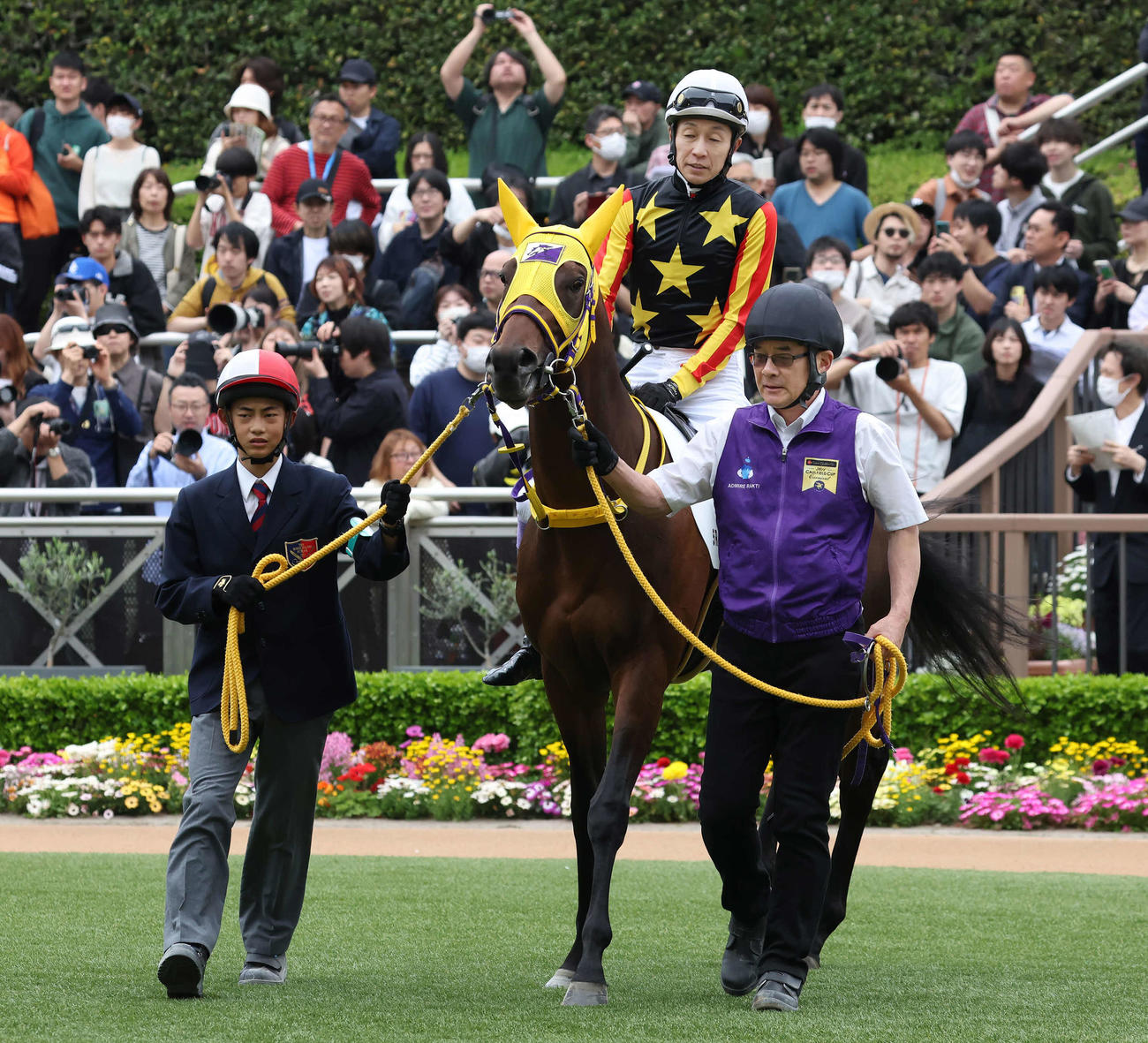 中山5R、パドックでヒデノブルースカイと武豊騎手を誘導する田中厩務員（右）（撮影・丹羽敏通）