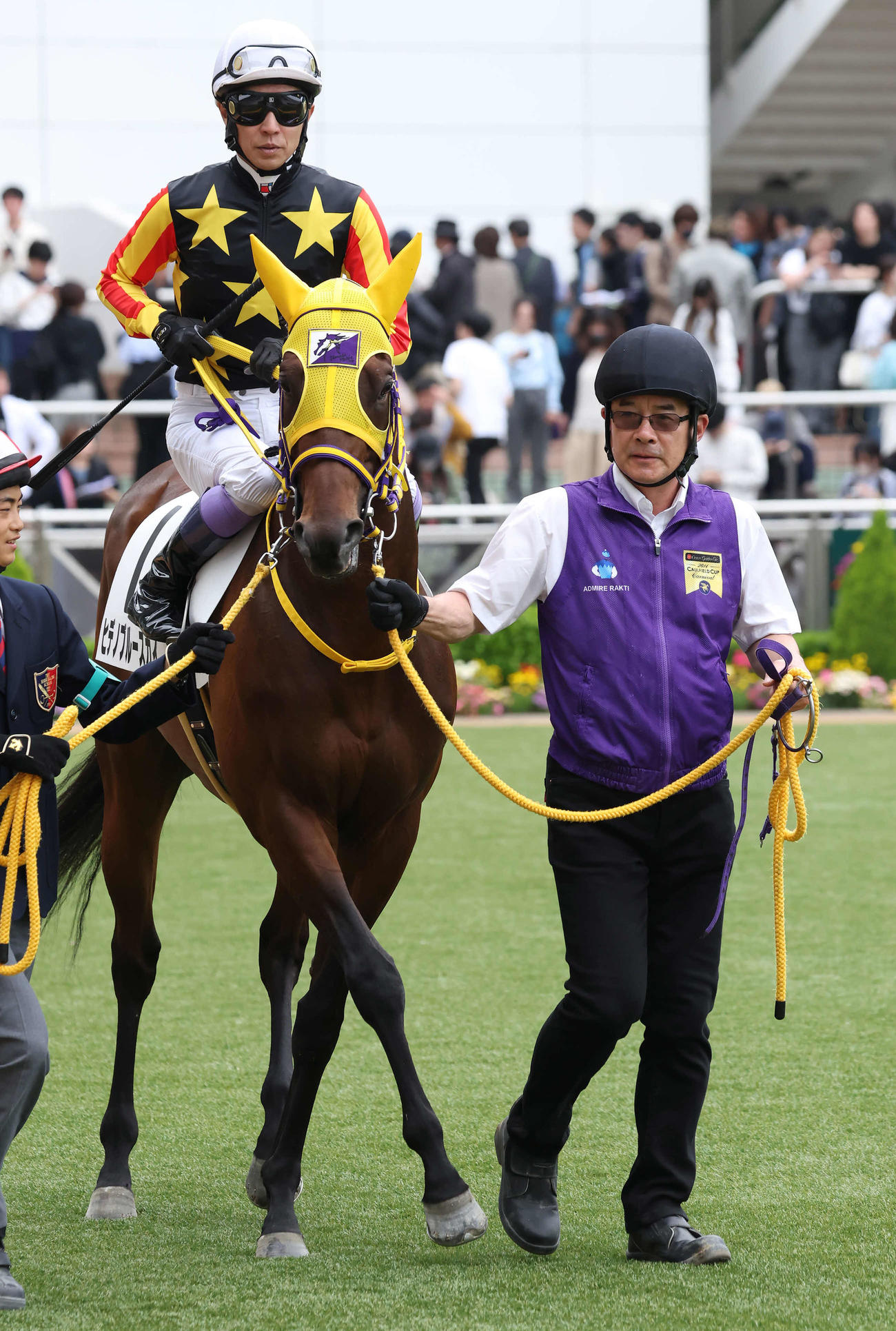 中山5R、パドックでヒデノブルースカイと武豊騎手を誘導する田中厩務員（右）（撮影・丹羽敏通）
