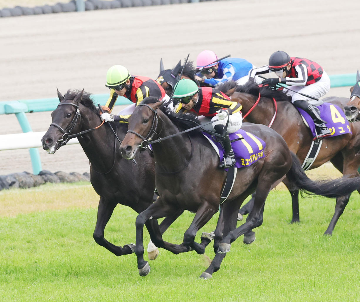 皐月賞2着に敗れたクロワデュノール（左）。右は勝ったミュージアムマイル（撮影・野上伸悟）