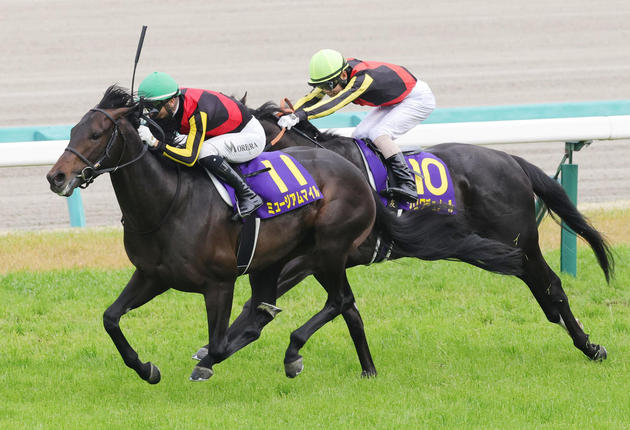皐月賞2着に敗れたクロワデュノール（右）。手前は勝ったミュージアムマイル（撮影・野上伸悟）