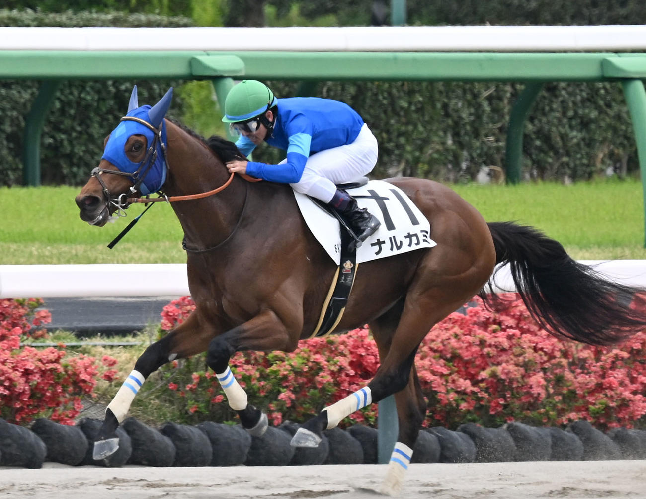 中山6R、3歳1勝クラスを制したナルカミと戸崎騎手（撮影・千葉一成）