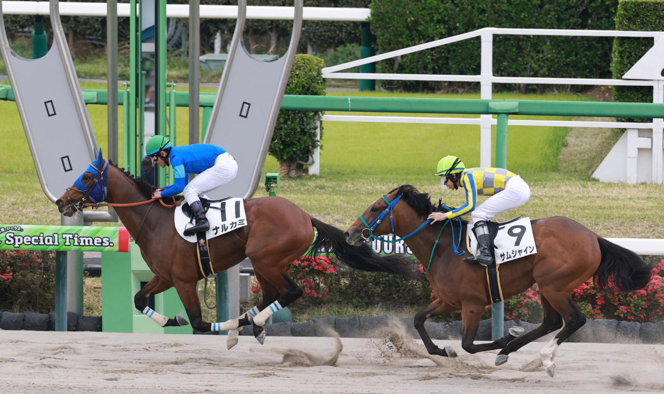 中山6Rを制したナルカミ（左）。右は2着のサムシャイン（撮影・野上伸悟）