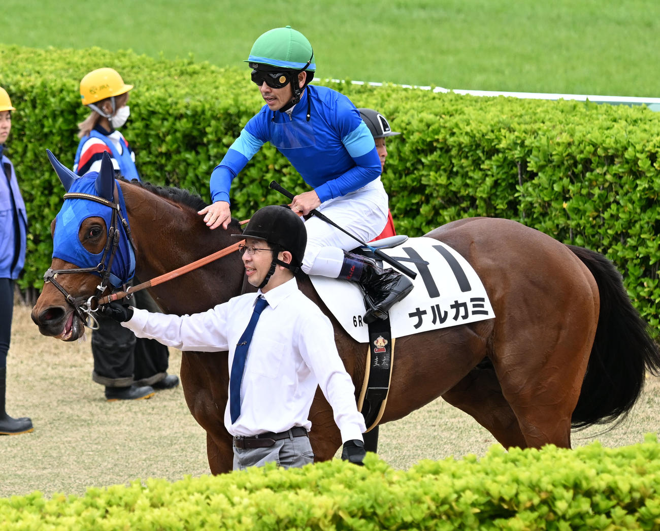 中山6R、3歳1勝クラスを制し、ナルカミをねぎらう戸崎騎手（撮影・千葉一成）
