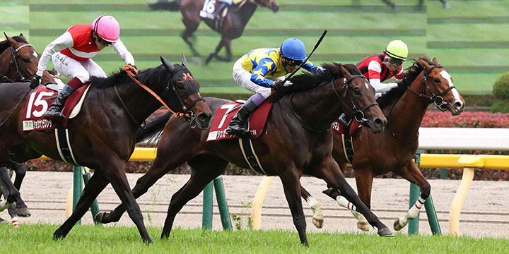 青葉賞を制したシュガークンと武豊騎手（中央）。左は2着ショウナンラプンタ（撮影・丹羽敏通）＝2024年4月27日、東京競馬場