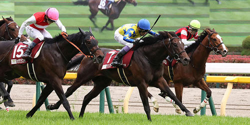 青葉賞を制したシュガークンと武豊騎手（中央）。左は2着ショウナンラプンタ（撮影・丹羽敏通）＝2024年4月27日、東京競馬場