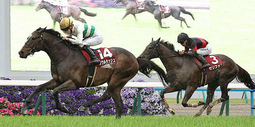 マイラーズCを制したソウルラッシュ。右は2着のセリフォス（撮影・上田博志）＝2024年4月21日、京都競馬場