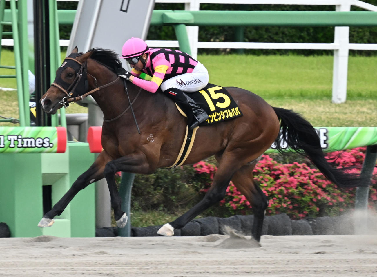 京葉Sを制したインビンシブルパパとモレイラ騎手（撮影・千葉一成）
