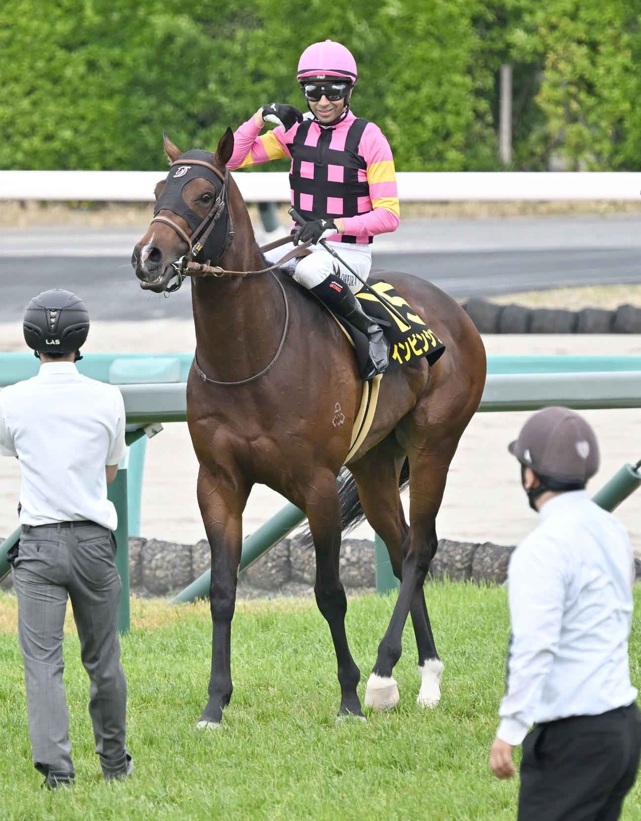 京葉Sを制したインビンシブルパパとモレイラ騎手（撮影・千葉一成）