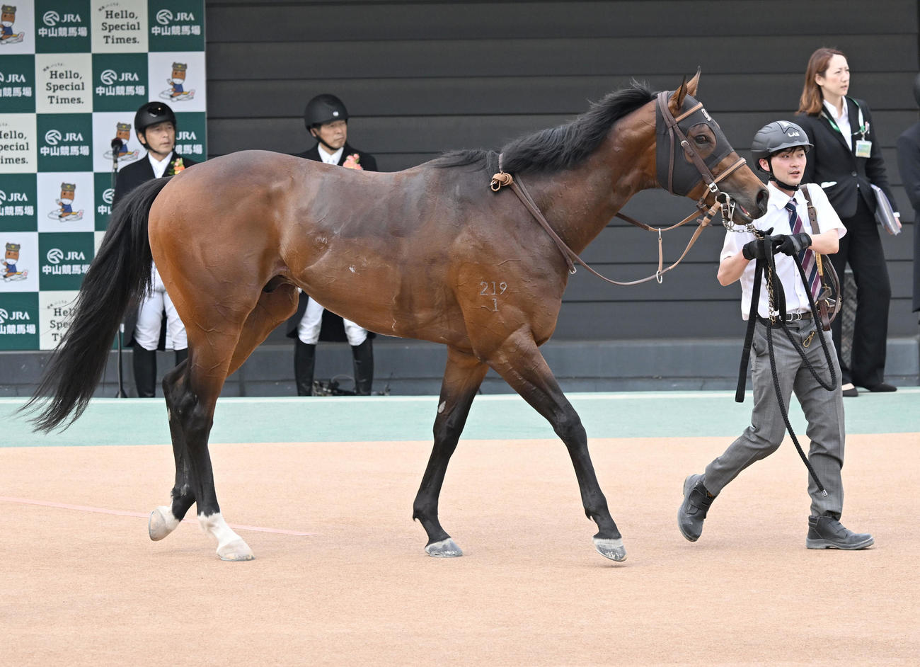 京葉Sをモレイラ騎手で制したインビンシブルパパ（撮影・千葉一成）