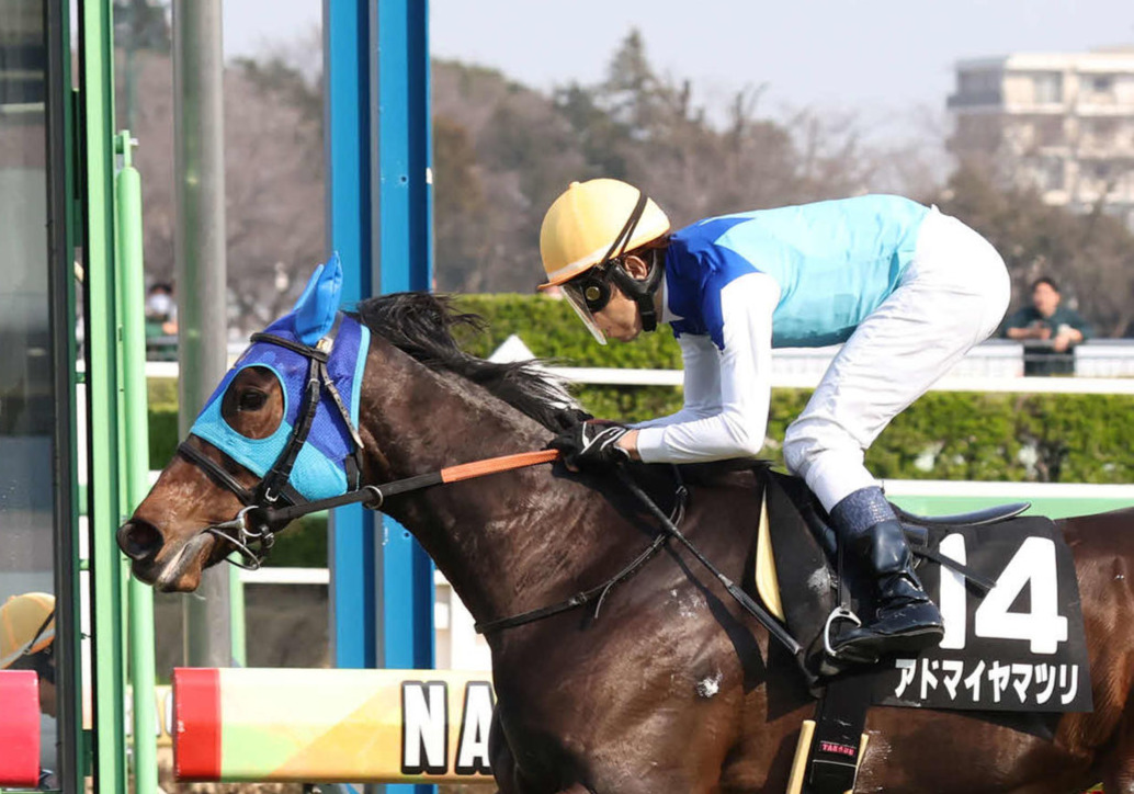 アドマイヤマツリと田辺騎手（2025年撮影）