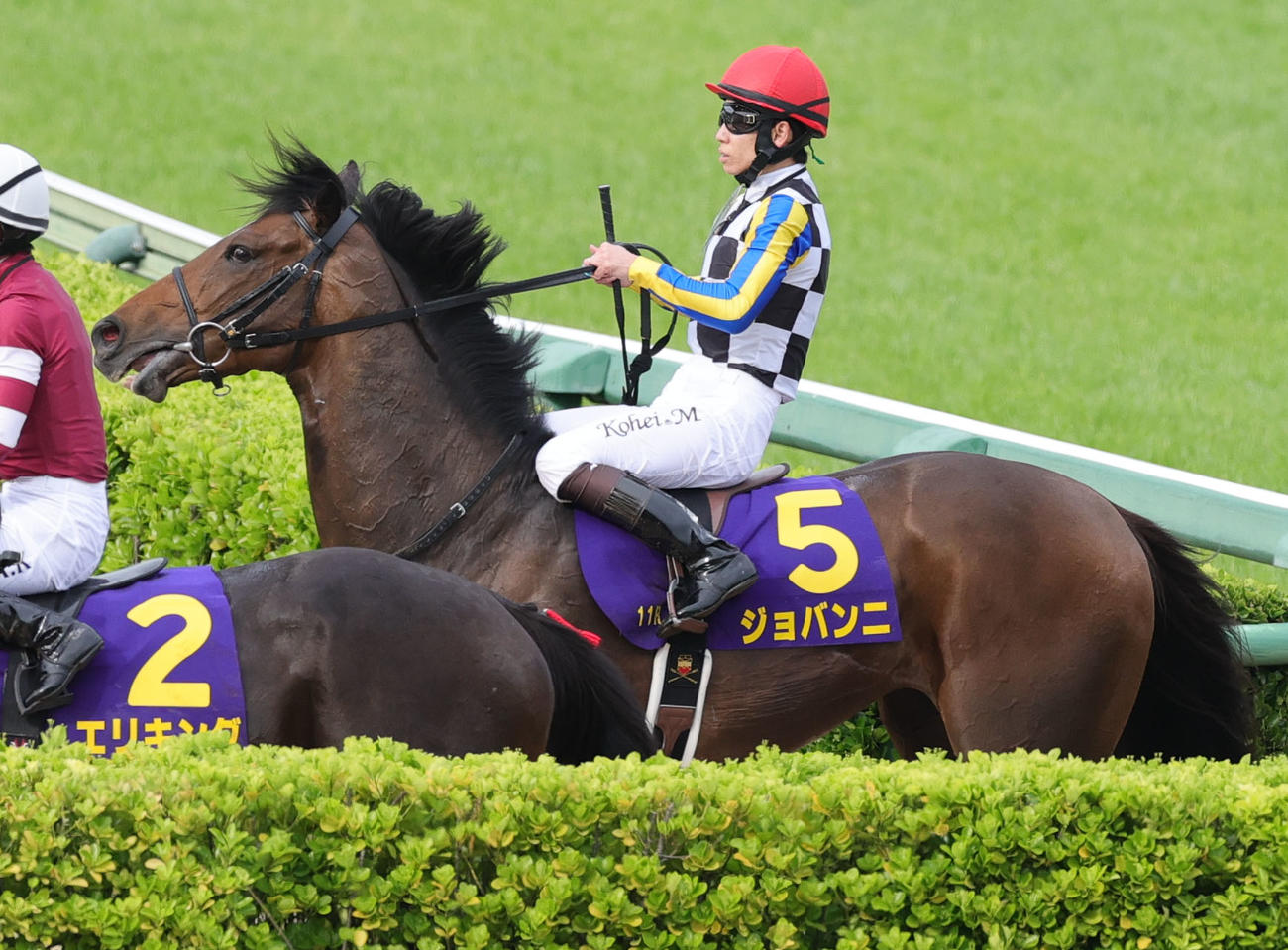 皐月賞で4着に終わった松山弘平騎乗のジョバンニ（撮影・野上伸悟）
