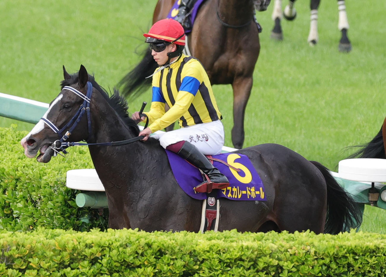 皐月賞で3着に終わった横山武史騎乗のマスカレードボール（撮影・野上伸悟）