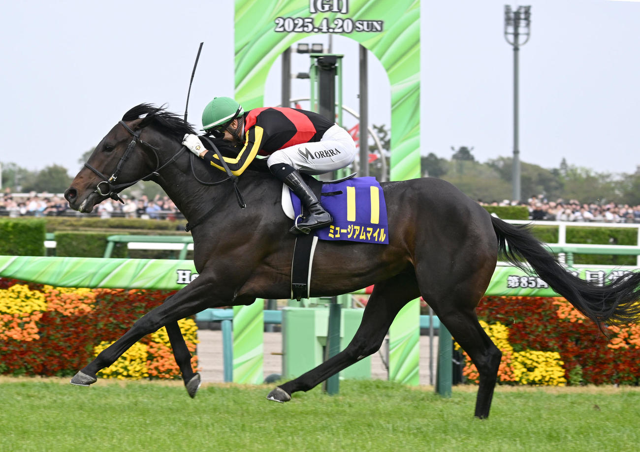 皐月賞を制したミュージアムマイルとモレイラ騎手（撮影・千葉一成）