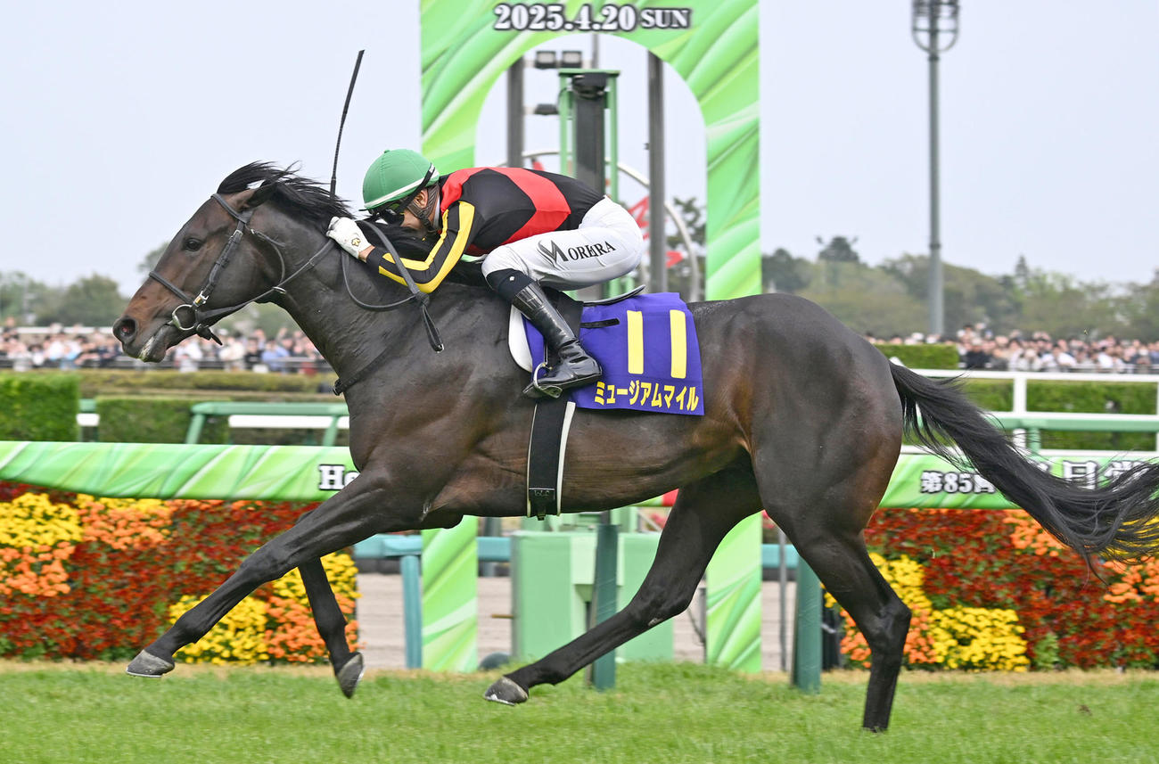 皐月賞を制したミュージアムマイルとモレイラ騎手（撮影・千葉一成）