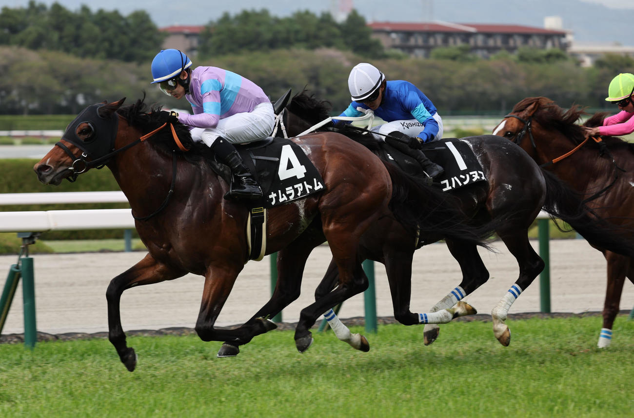 阪神11R　心斎橋Sを制したナムラアトムと菱田騎手（撮影・西尾就之）