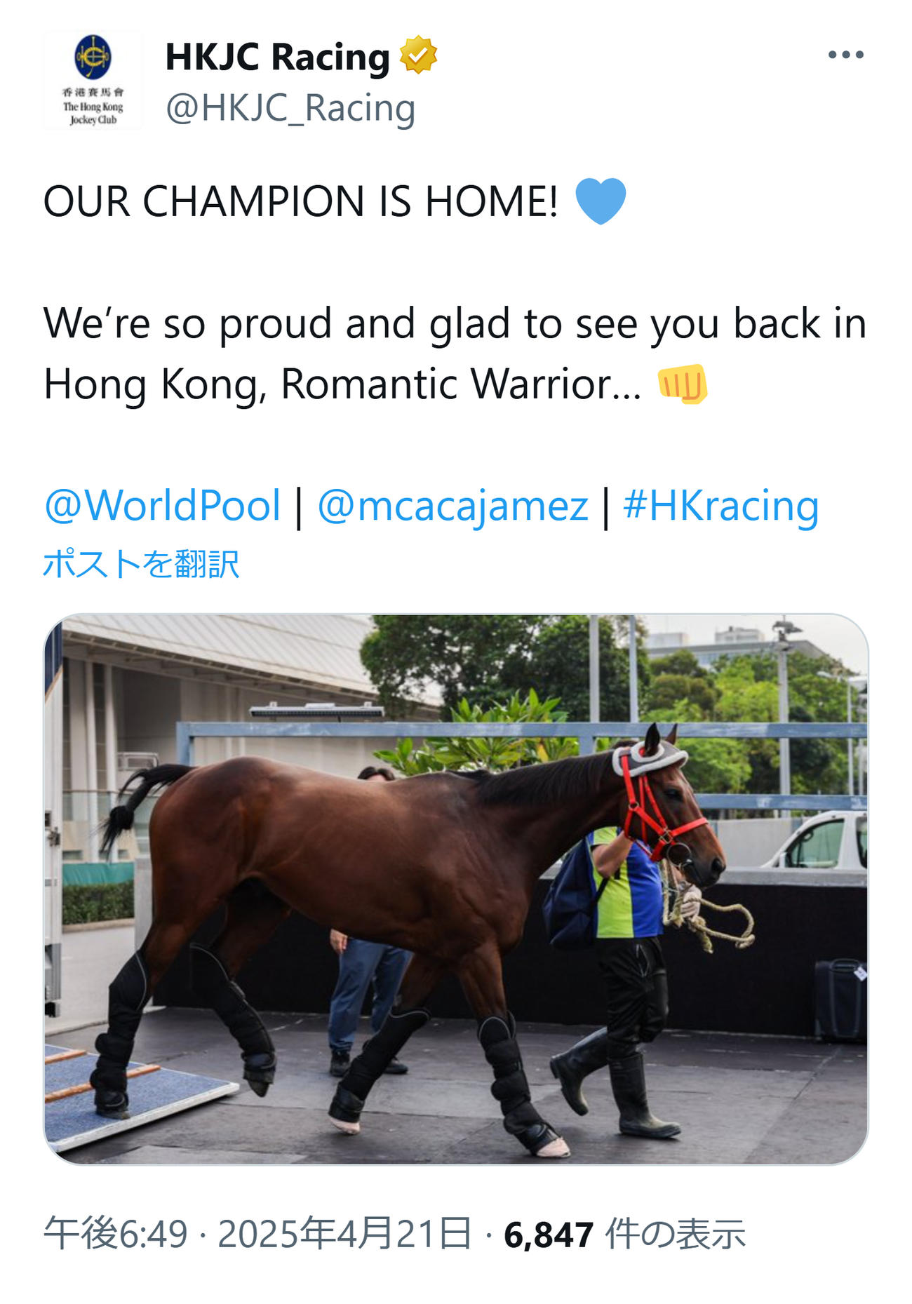 香港ジョッキークラブのXから