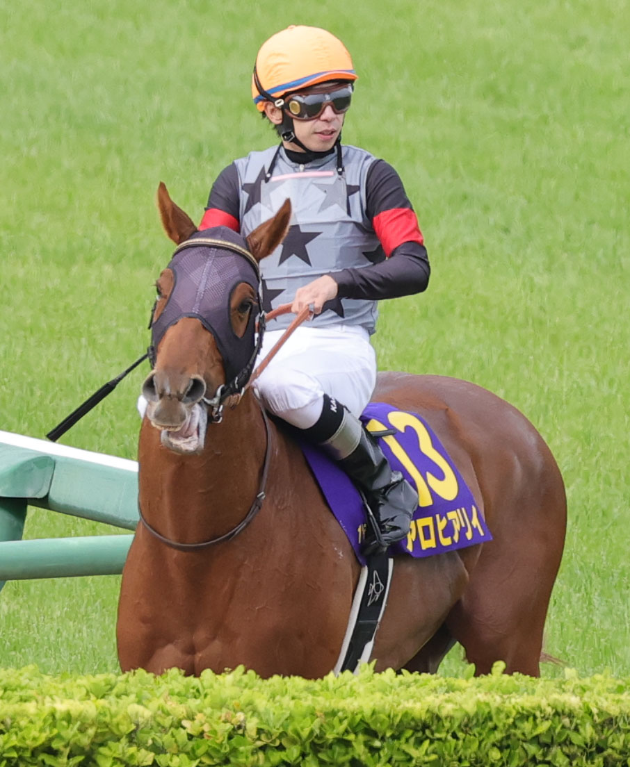 皐月賞で8着に終わった横山和騎手騎乗のアロヒアリイ（撮影・野上伸悟）