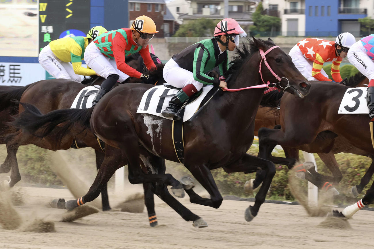 ツインゴールド特別8着に敗れたウワサノデコピンと七夕裕次郎騎手（撮影・牛山基康）