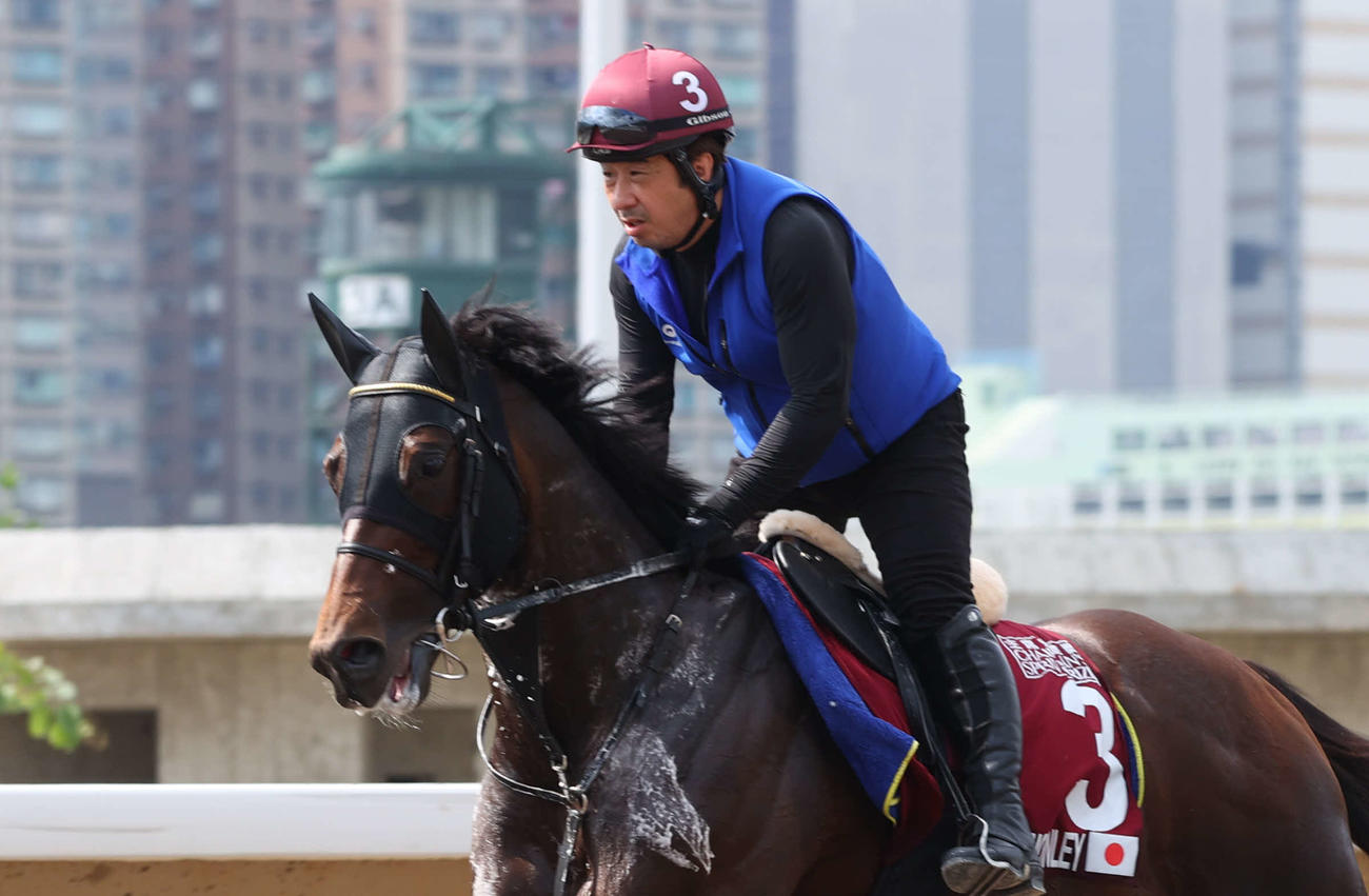 シャティン競馬場で調教するダノンマッキンリー（C）The Hong Kong Jockey Club