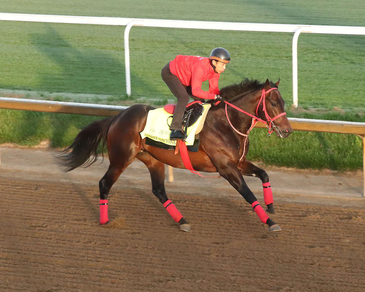 1週前追い切りを行ったアドマイヤデイトナと宮下助手（C）Coady Media／Churchill Downs