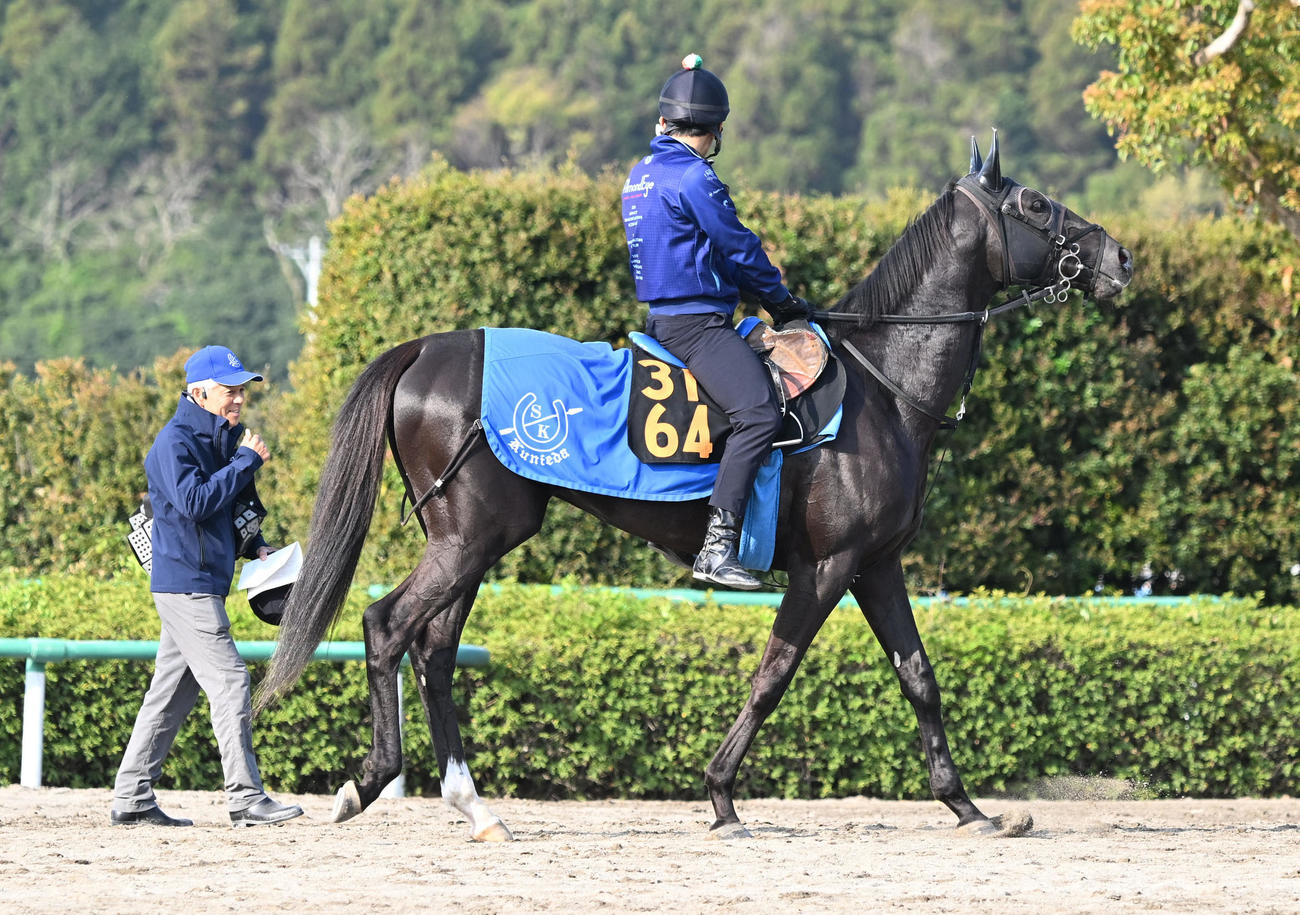 17日、馬場を出るガルダイア。左は国枝師