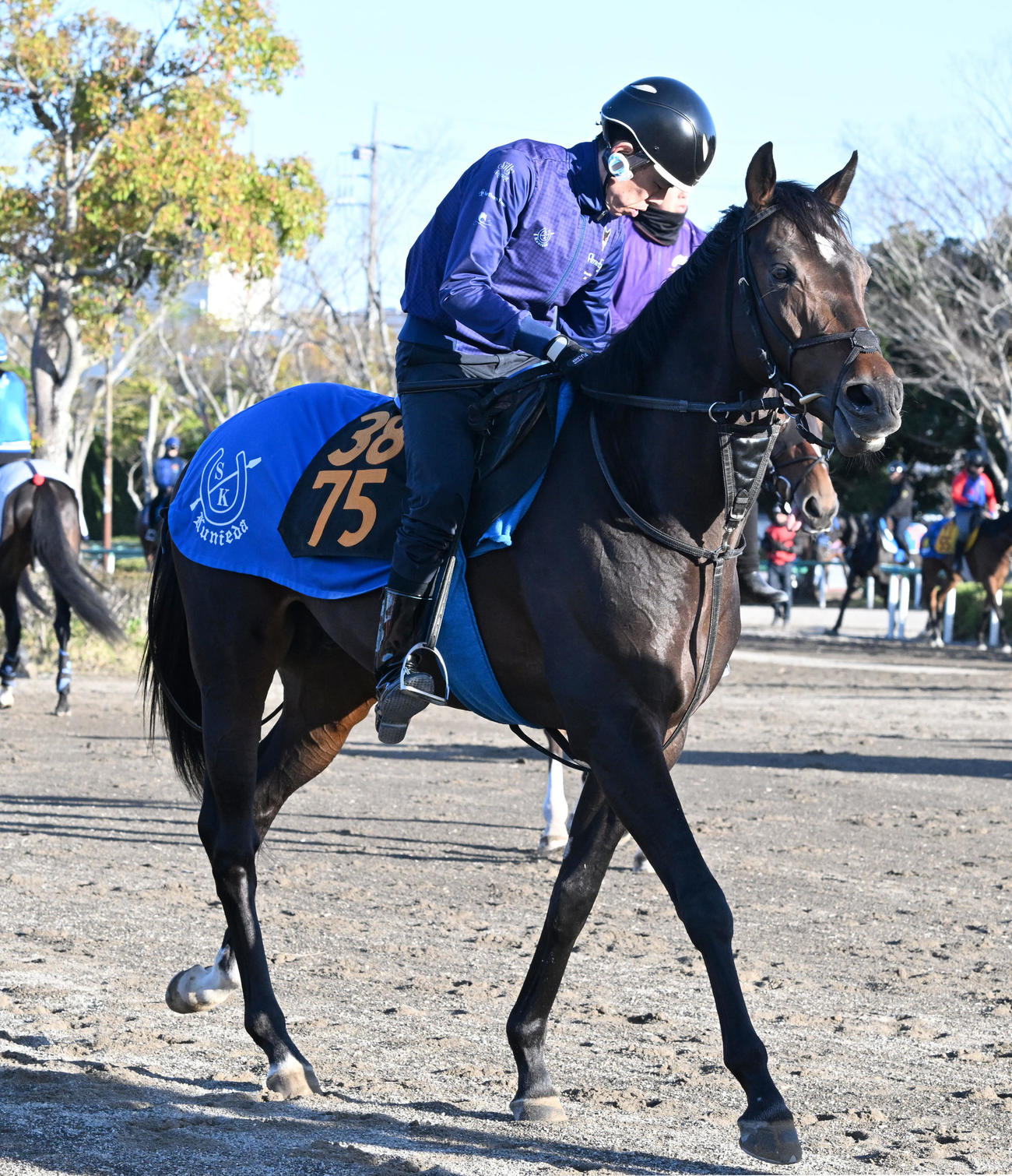 16日、馬場に向かうアマキヒ