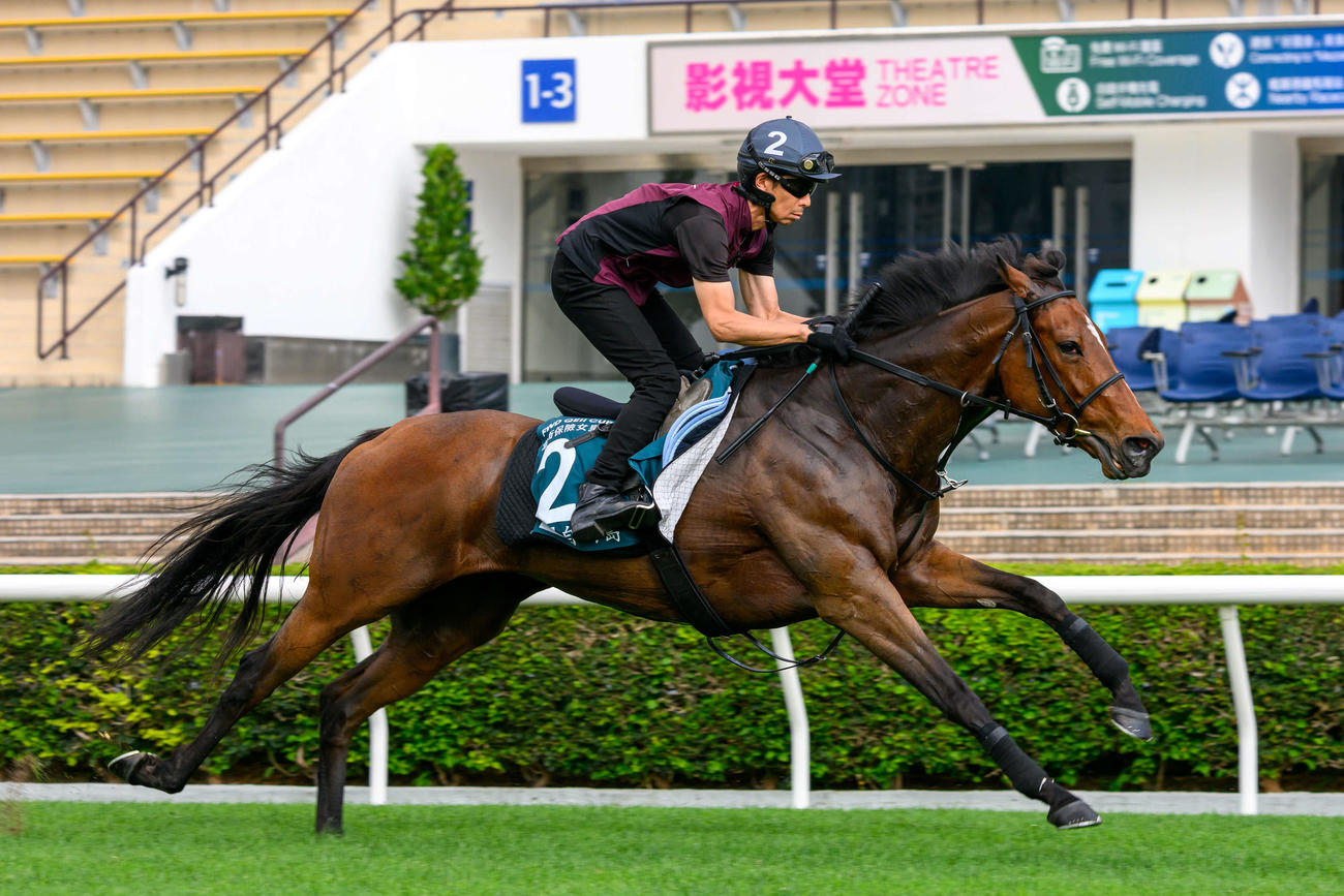 23日、シャティン競馬場で追い切られるリバティアイランド（C）The Hong Kong Jockey Club