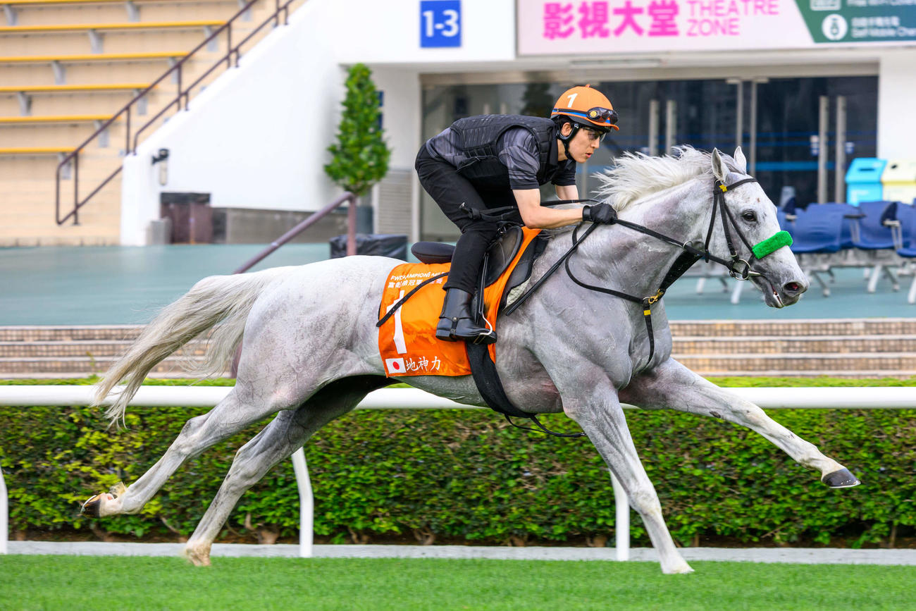 23日、シャティン競馬場で追い切られるガイアフォース（C）The Hong Kong Jockey Club