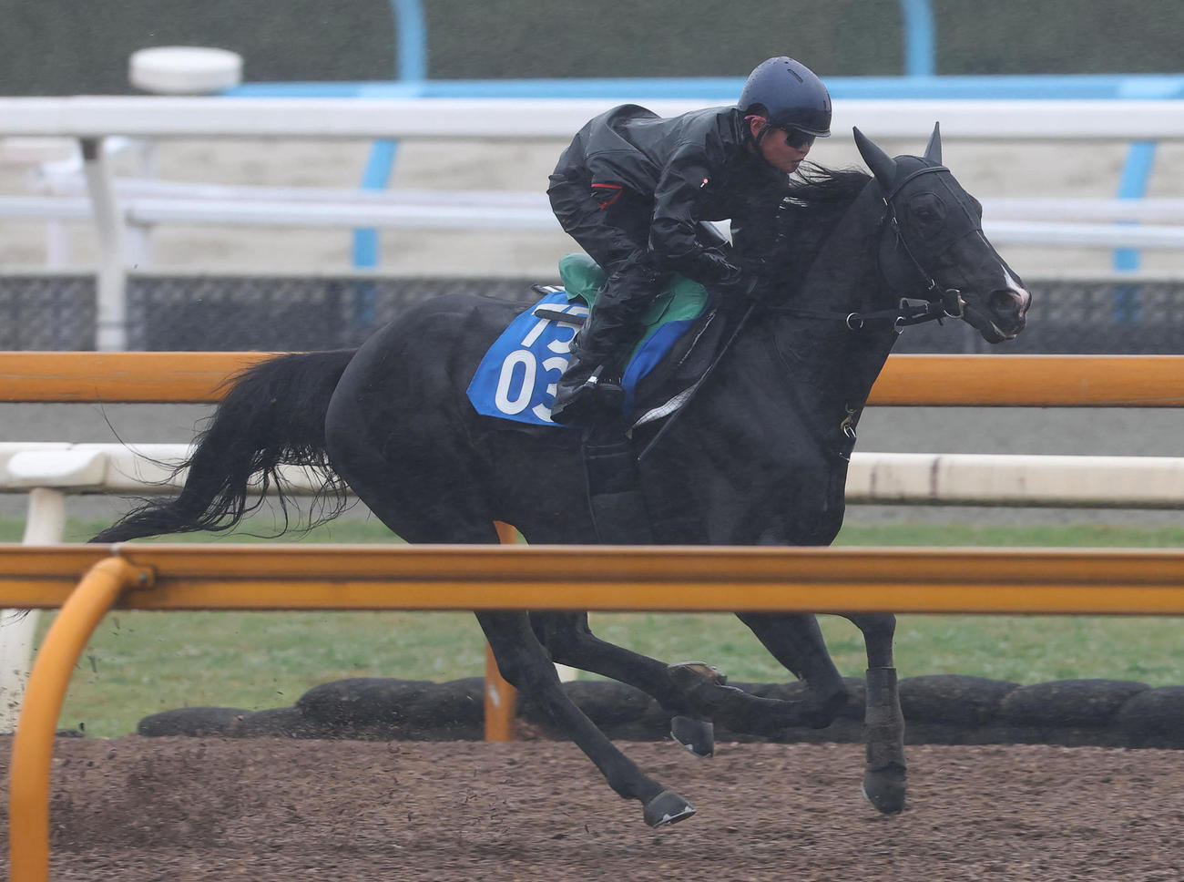 田口騎手を背にCウッドを単走で追い切るニホンピロキーフ（撮影・白石智彦）