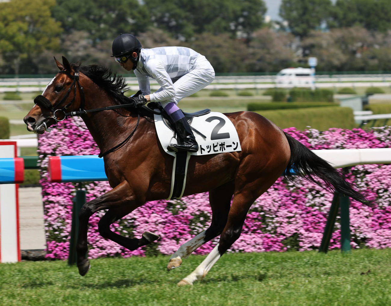 阪神5R 3歳1勝クラスを快勝したトッピボーンと武豊騎手（2025年4月19日撮影）