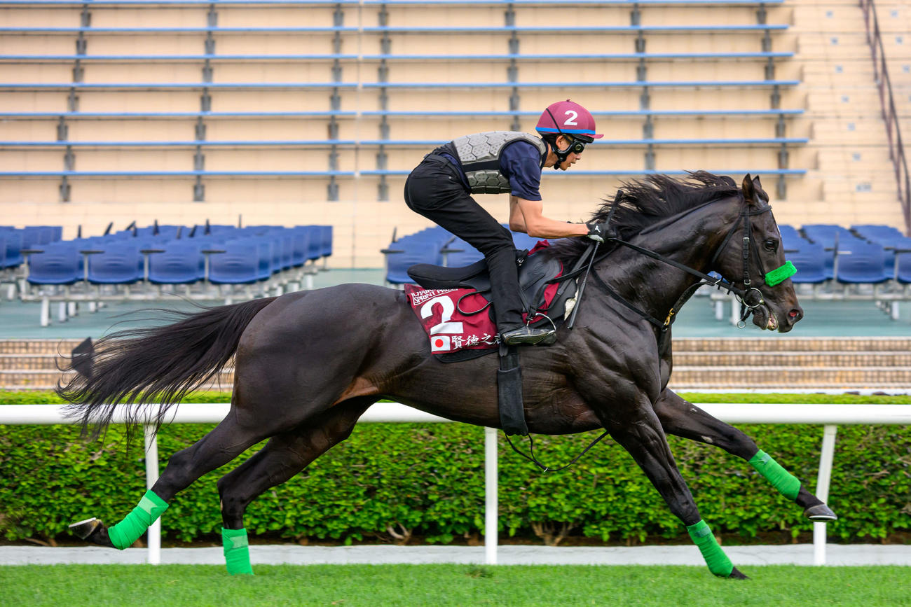 23日、シャティン競馬場で追い切られるルガル（C）The Hong Kong Jockey Club