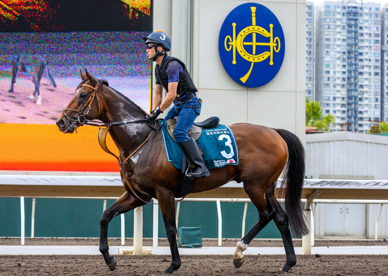 23日、シャティン競馬場で調整するタスティエーラ（C）The Hong Kong Jockey Club