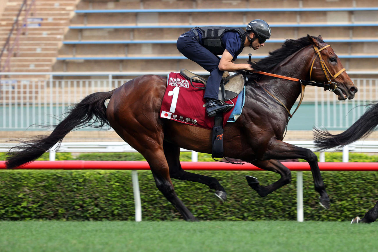 24日朝に追い切りを行ったサトノレーヴとモレイラ騎手（C）The Hong Kong Jockey Club