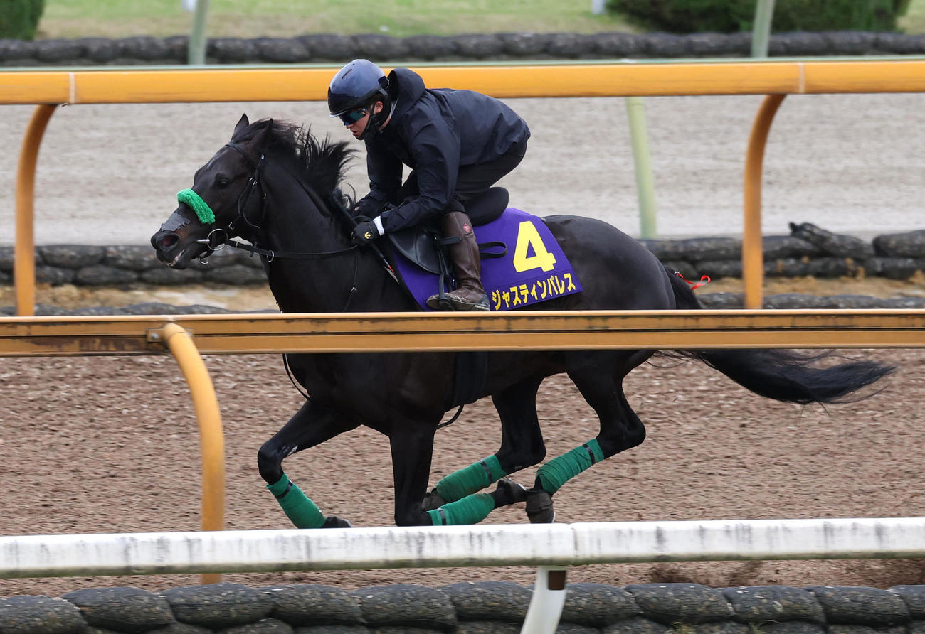 鮫島駿騎手を背にCウッドを単走で追い切るジャスティンパレス（撮影・白石智彦）